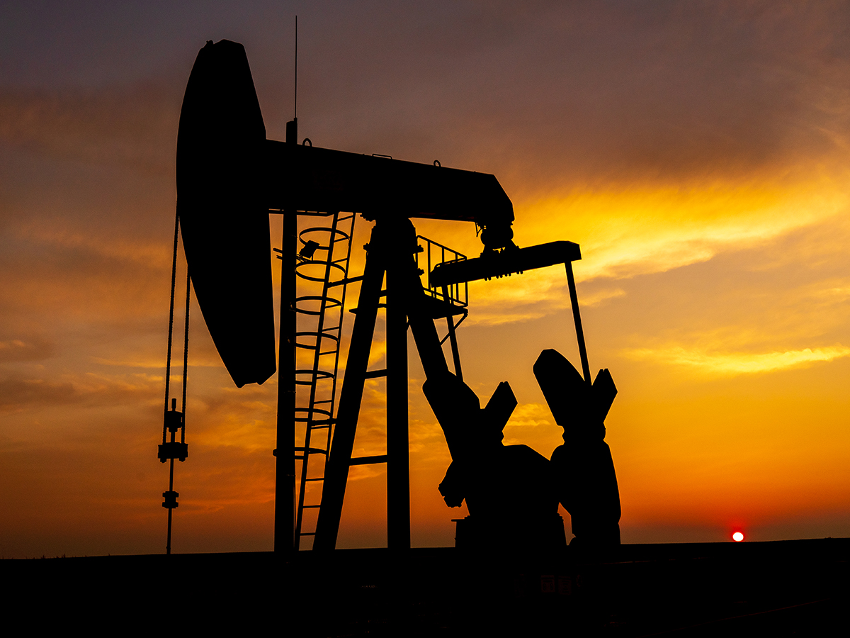 Project Management & Operations